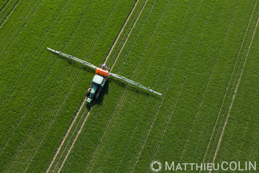 Exploitation agricole lors d'un épandage de pesticides dont insecticides, fongicides, herbicides, parasiticides (vue aérienne)