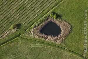 France, Vaucluse (84), Parc Naturel Régional du Luberon, Goult, forme géométrique  (vue aérienne)