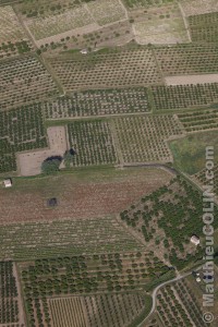 France, Vaulcuse (84),  Beaumont-du-Ventoux, arboriculture et vigne (vue aérienne)