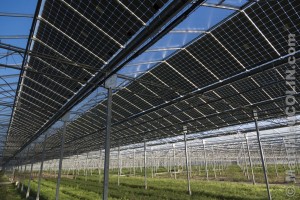France, Ardèche (07), Curas, centrale solaire photovoltaïque Cap Vert Energie sur des serres agricoles