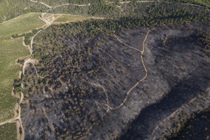 France, Vaucluse (84), Luberon, le feu de forêt du 24 juillet 2017 entre Mirabeau et la Bastidonne. l'incendie a ravagé 1300 ha, survol en parapente motorisé (vue aérienne)
