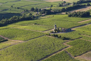 France, Maine-et-Loire (49), Thouarcé,  AOC Bonnezeaux, Moulin à vent (vue aérienne)
