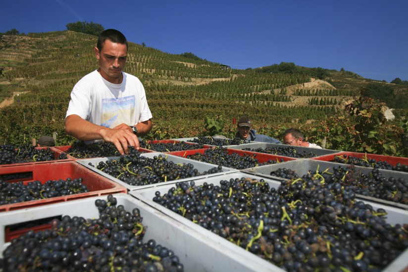 Vallée du Rhône