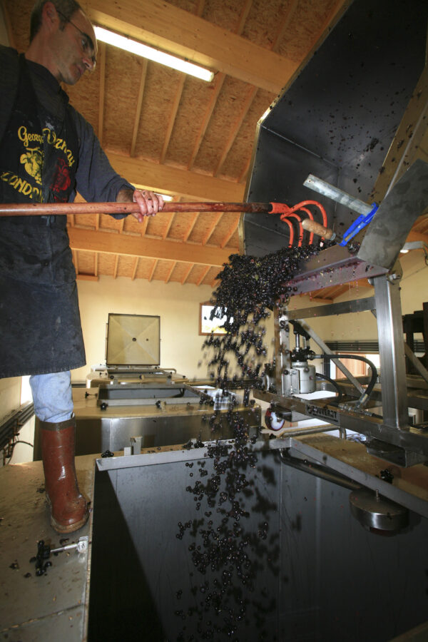 Art de vivre – Vignoble — Côte Rotie
