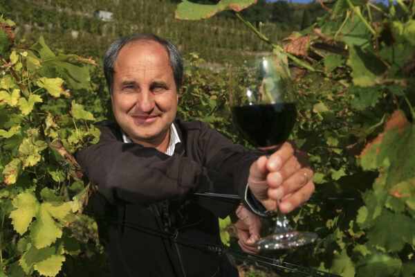 Art de vivre – Vignoble — Côte Rotie