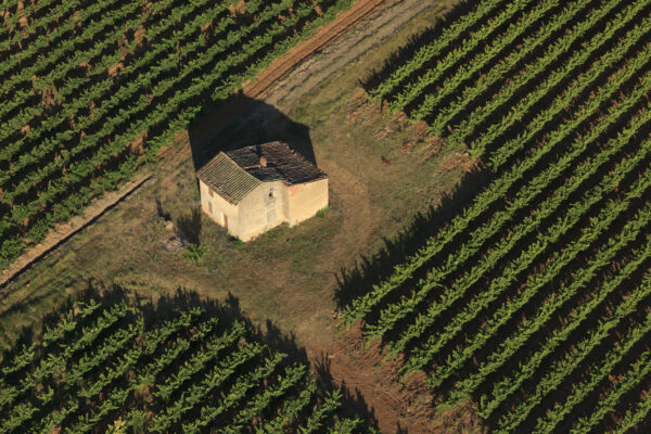 Art de vivre – Vignoble — Brue-Auriac