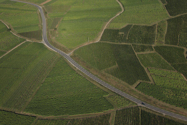 Route des vins d’Alsace