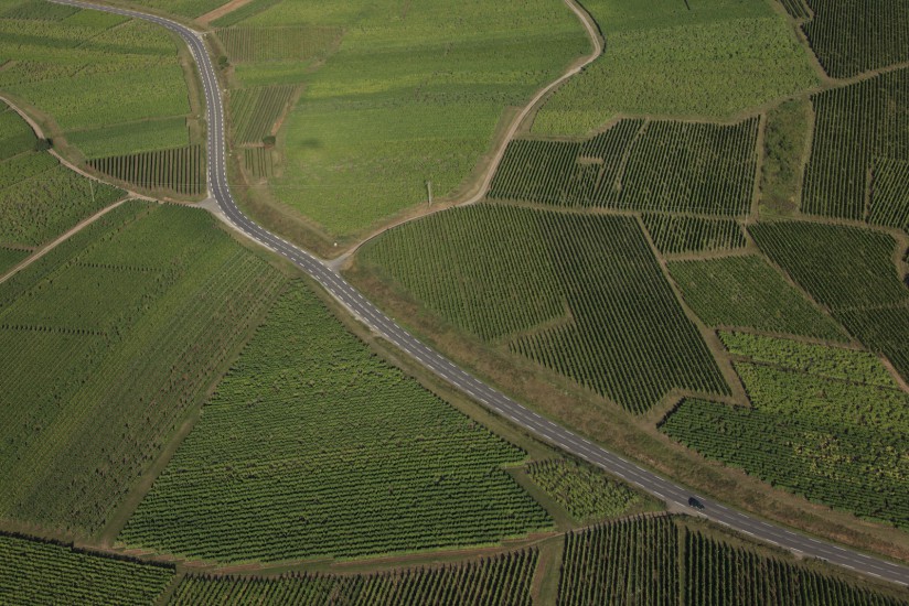 Route des vins d'Alsace