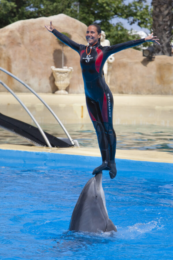 Culture – Spectacle — Marineland