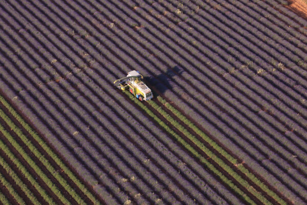Vue aérienne – Agriculture — Riez