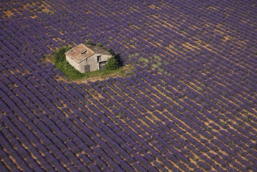 Plateau de Valensole