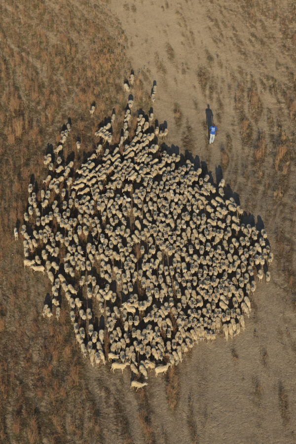 Vue aérienne – Agriculture — Val d’Orcia