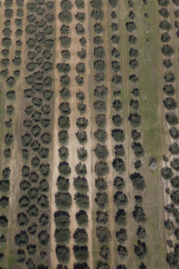 Vue aérienne – Agriculture — Fontvieille