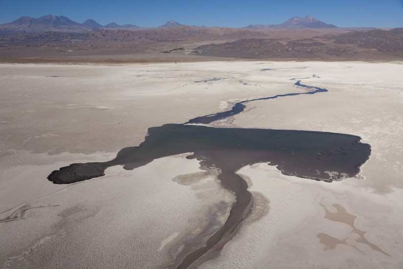 Chili, salar d'Atacama