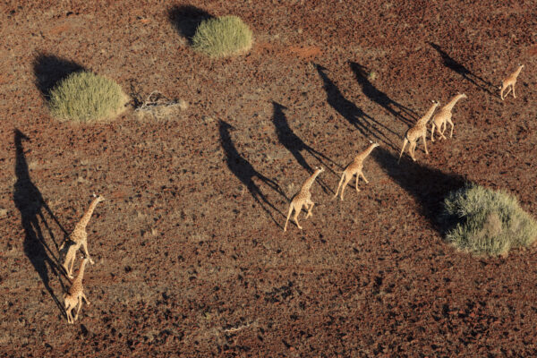Vue aérienne – Voyage — Damaraland