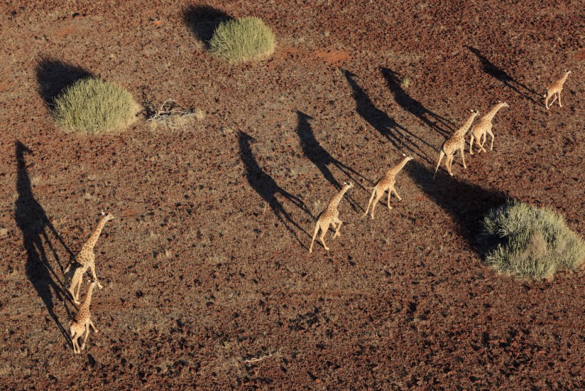 Damaraland