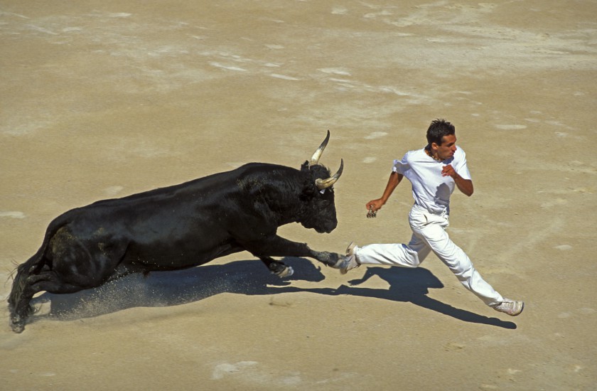 Course camarguaise