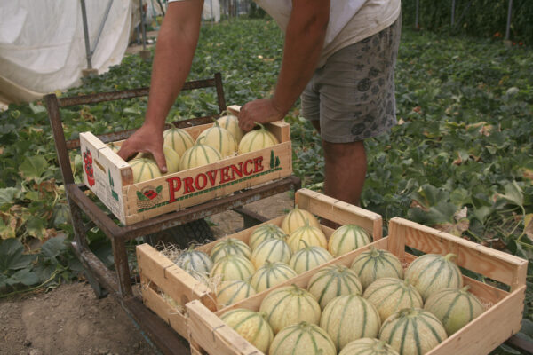 Corporate – Artisanat — Provence