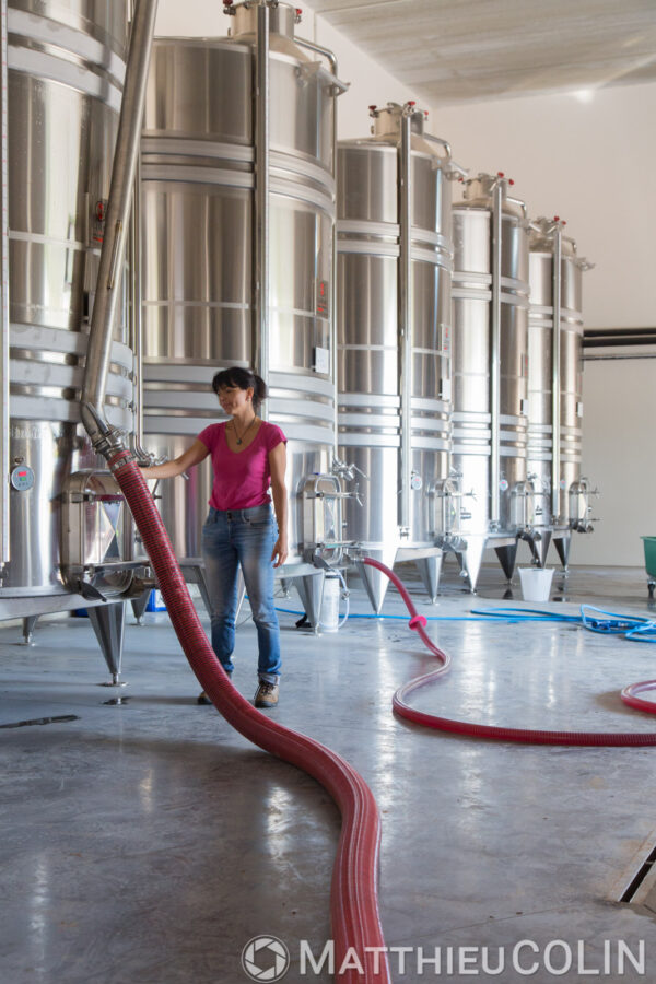 Art de vivre – Vignoble — Vignification