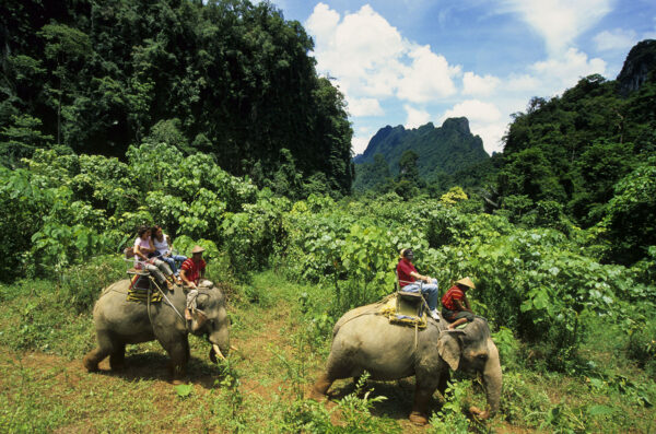 Vietnam, A la poursuite des diamants verts