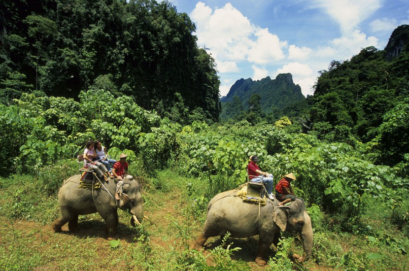 THAILANDE  - Immersion dans la jungle - A la poursuite des diamants verts. Au départ de l'Elephant Hills, un éco-lodge luxueux, découverte de la jungle à pied sous la voûte végétale, en canoë et raft en bambou sur la rivière, à dos d'éléphant… (100 photos)
 Voir le reportage sur Divergence-Images