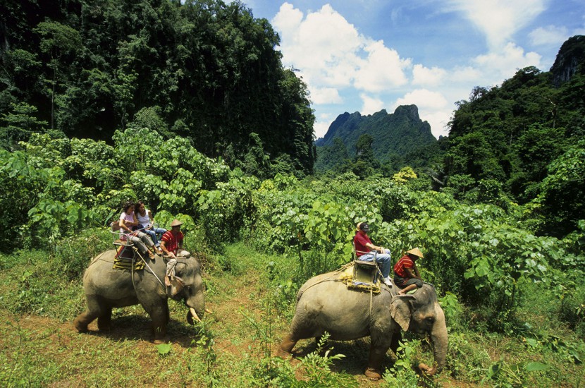 THAILANDE  - Immersion dans la jungle - A la poursuite des diamants verts. Au départ de l'Elephant Hills, un éco-lodge luxueux, découverte de la jungle à pied sous la voûte végétale, en canoë et raft en bambou sur la rivière, à dos d'éléphant… (100 photos)
 Voir le reportage sur Divergence-Images