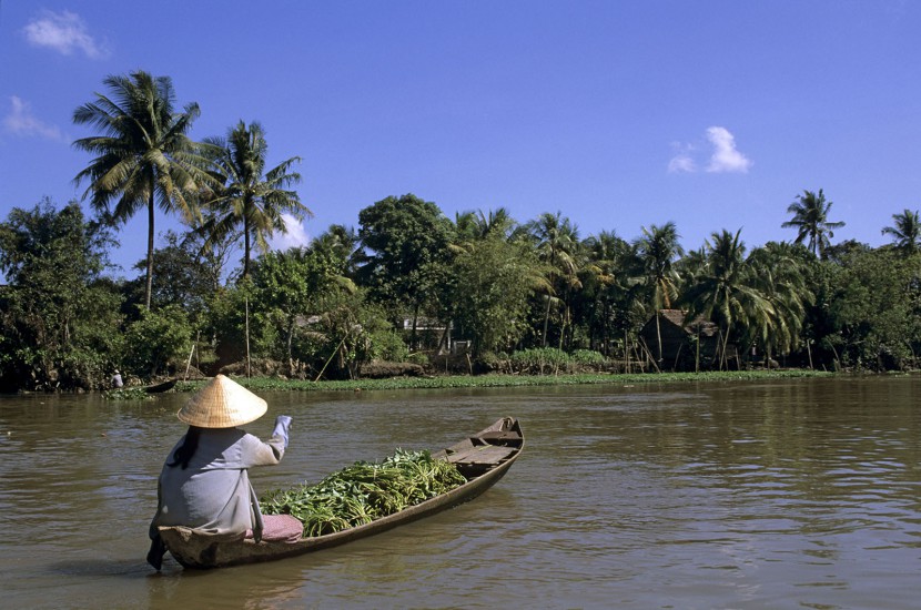 VIETNAM - De Saïgon à Phu Quoc - Le delta du Mékong. Mon premier est un labyrinthe de canaux à explorer en bateau. Mon deuxième est un lacis de pistes à découvrir à vélo ou à moto. Mon tout est le delta du Mékong. Votre mission : shopping au marché flottant, cueillette de fruits tropicaux et farniente sur les plages. Trop dur... (180 photos) Voir le reportage sur Divergence-Images