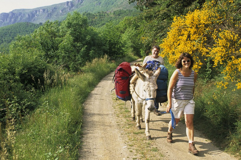 LOZERE - Randonnée sur le GR70 - A dos d'âne dans les Cévennes de Stevenson. Sur les traces de l'écrivain entre le Mont Lozère, le Col de Finiels, le Pont de Montvert, Bédouès, Florac, Saint-Julien d'Arpaon, et St Germain de Calberte (40 photos) Voir le reportage sur Divergence-Images