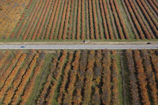 Photos aériennes de la vallée de la Durance en automne