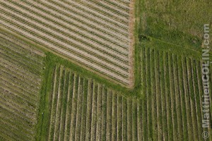 France, Vaucluse (84), Parc Naturel Régional du Luberon, Goult, forme géométrique  (vue aérienne)