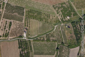 France, Vaulcuse (84),  Beaumont-du-Ventoux, arboriculture et vigne (vue aérienne)