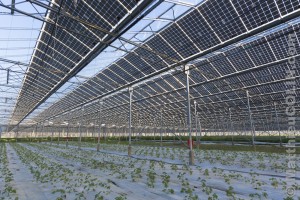 France, Ardèche (07), Curas, centrale solaire photovoltaïque Cap Vert Energie sur des serres agricoles