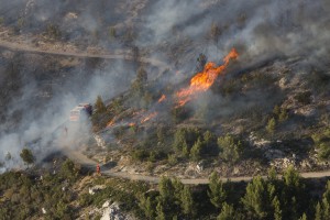 France, Bouches-du-Rhône (13), Marseille, incendie dans les calanques le 5 septembre 2016 au départ de Luminy entre Marseille et Cassis sur plus de 300 ha.