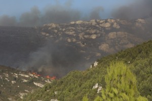 France, Bouches-du-Rhône (13), Marseille, incendie dans les calanques le 5 septembre 2016 au départ de Luminy entre Marseille et Cassis sur plus de 300 ha.