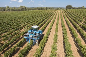 France, Var (83), Brue-Auriac, Domaine de Gilles Masson, Saint Estève, vendange mécanisée, AOC Coteaux Varois en Provence, vendangeuse  (vue aérienne)