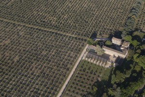 France, Gard (30), Uzès, mas et oliveraie (vue aérienne)