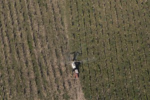 France, Gard (30), épandage de pesticides dans des vignes, Castillon-du-Gard (vue aérienne)