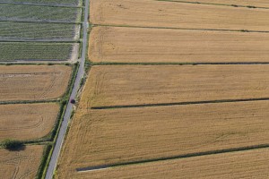 France, Hérault (34), Montady, ancien étang asséché au moyen-âge en forme de soleil ou d'étoile (vue aérienne)