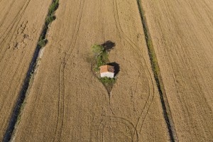 France, Hérault (34), Montady, ancien étang asséché au moyen-âge en forme de soleil ou d'étoile (vue aérienne)