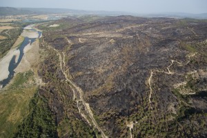 France, Vaucluse (84), Luberon, le feu de forêt du 24 juillet 2017 entre Mirabeau et la Bastidonne. l'incendie a ravagé 1300 ha, survol en parapente motorisé (vue aérienne)