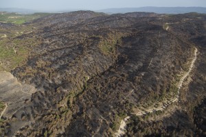 France, Vaucluse (84), Luberon, le feu de forêt du 24 juillet 2017 entre Mirabeau et la Bastidonne. l'incendie a ravagé 1300 ha, survol en parapente motorisé (vue aérienne)