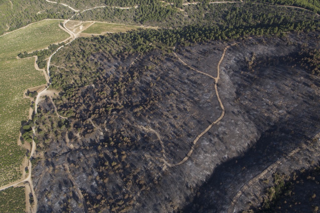 Luberon, le feu de forêt du 24 juillet 2017 entre Mirabeau et la Bastidonne. l'incendie a ravagé 1300 ha