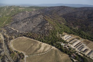 France, Vaucluse (84), Luberon, le feu de forêt du 24 juillet 2017 entre Mirabeau et la Bastidonne. l'incendie a ravagé 1300 ha, survol en parapente motorisé (vue aérienne)