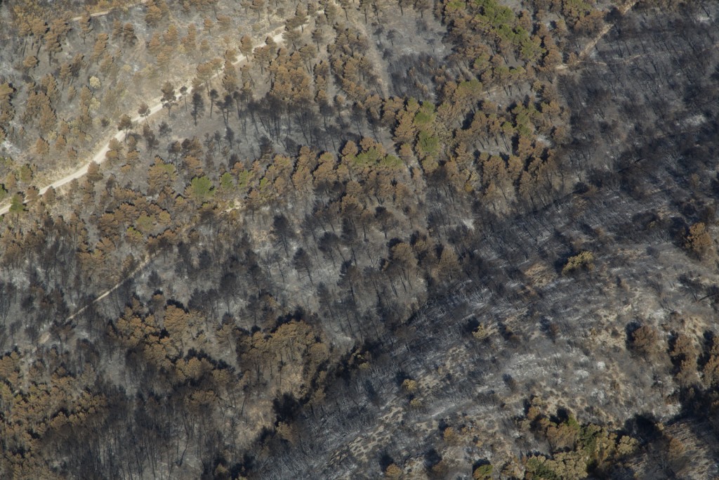 Luberon, le feu de forêt du 24 juillet 2017 entre Mirabeau et la Bastidonne. l'incendie a ravagé 1300 ha