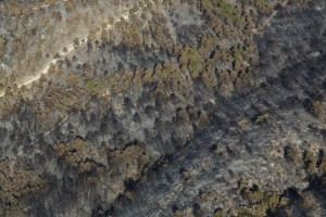 France, Vaucluse (84), Luberon, le feu de forêt du 24 juillet 2017 entre Mirabeau et la Bastidonne. l'incendie a ravagé 1300 ha, survol en parapente motorisé (vue aérienne)