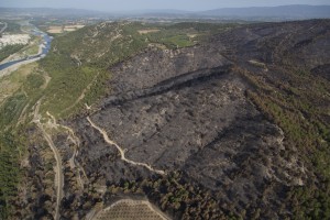 France, Vaucluse (84), Luberon, le feu de forêt du 24 juillet 2017 entre Mirabeau et la Bastidonne. l'incendie a ravagé 1300 ha, survol en parapente motorisé (vue aérienne)