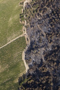 France, Vaucluse (84), Luberon, le feu de forêt du 24 juillet 2017 entre Mirabeau et la Bastidonne. l'incendie a ravagé 1300 ha, survol en parapente motorisé (vue aérienne)