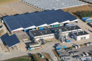 France, Bouches-du-Rhône (13), Tarascon, zone d'activité du Roubian, Provence Tomate, usine agroalimentaire (vue aérienne)