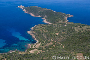 France. Corse du Sud (2A), golfe de Peru, commune de Cargèse,  pointe de d'Omigna et tour génoise  (vue aérienne)