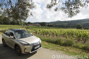 France, Var (83), Le Castellet, Vignes AOC Bandol, Lexus RX450 h Hydrid